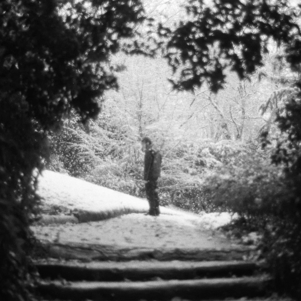 Cover 7Luz — Photographie 1 sur 3